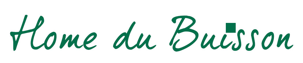logo homedubuisson